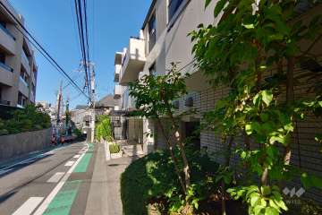 敷地北西側の前面道路（南西側から）