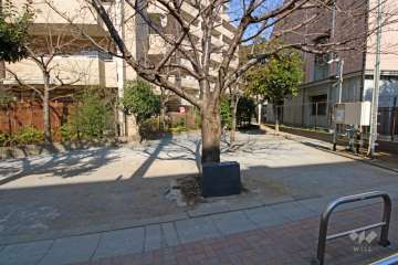 隣接する西原どんぐり公園