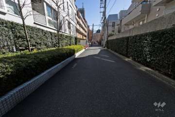 敷地西側の前面道路（北側から）