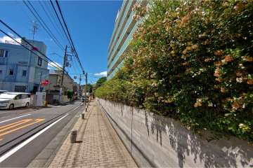 敷地南東側の前面道路（北東側から）