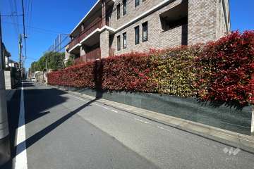 敷地南側の前面道路（東側から）