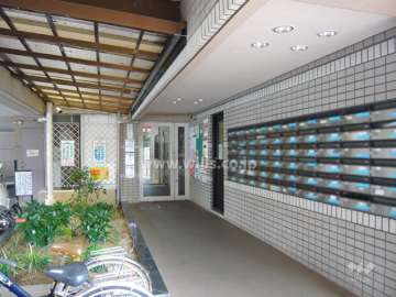 エントランス周り