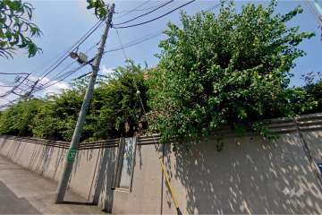 ベルテ参宮橋の外観（南東側から）