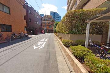 敷地南側の前面道路（東側から）