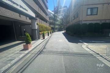 敷地南西側の前面道路（北西側から）