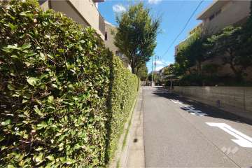 敷地南東側の前面道路（南西側から）