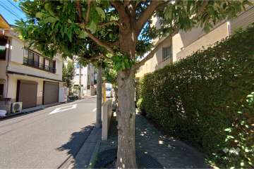 敷地南西側の前面道路（南東側から）
