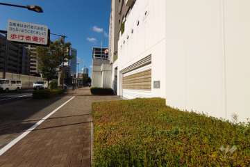 敷地西側の前面道路（南側から）