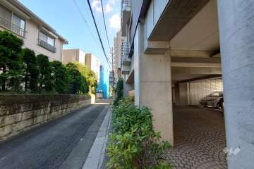敷地東側の前面道路（北側から）