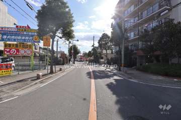 敷地東側の前面道路。南は川の向こうまで、北は606号線までつながっている弥生線です。