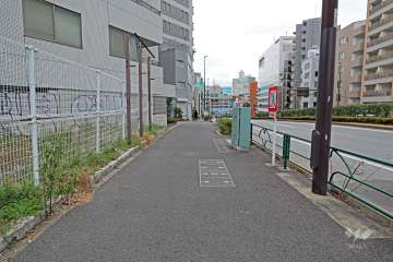 敷地南側前面道路の井の頭通りを東に進むと『代々木公園』が見えて来ます。