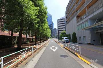 敷地南側の前面道路