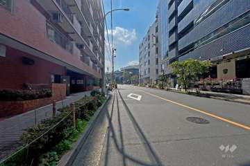 敷地西側の前面道路（北側から）