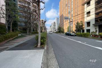 敷地北側の前面道路