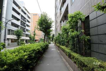 敷地北東側前面道路。マンションの目の前に「恵比寿南１丁目」バス停があります。