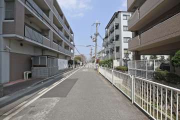 敷地西側の前面道路（水路有り）