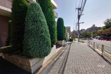 敷地南西側の前面道路（北西側から）