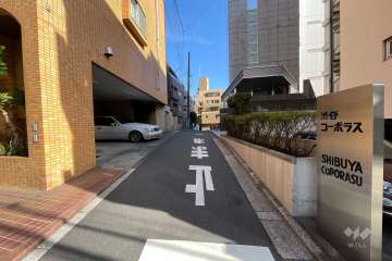 敷地北側の前面道路(西側から)