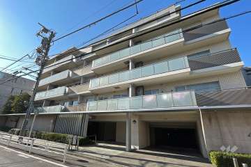 南平台ハウスの外観（東側から）