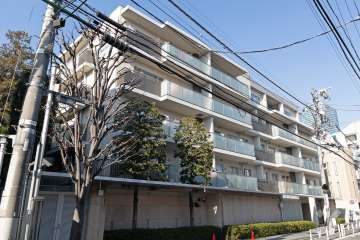 南平台ハウスの外観（南側から）