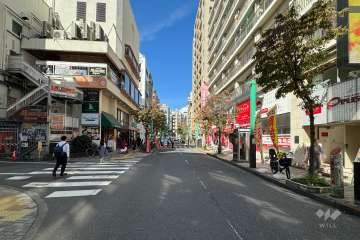敷地南西側の前面道路（南東側から）