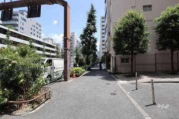 敷地北側の前面道路（西側から）