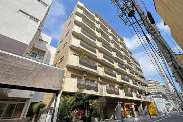 ドッケン代官山ハイツの外観(南側から）