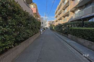 敷地東側の前面道路（南側から）