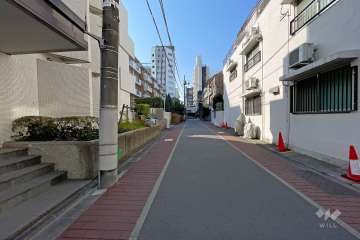 敷地東側の前面道路（北側から）