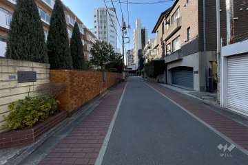 敷地東側の前面道路（北側から）