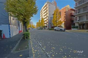 敷地西側の前面道路（北側から）