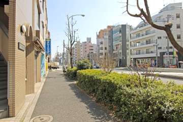 敷地南側の前面道路（西側から）