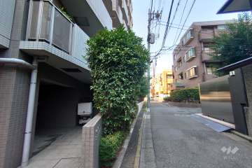 敷地北東側の前面道路（南東側から）