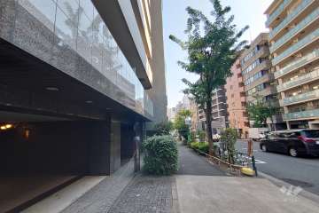 敷地南西側の前面道路（北西側から）