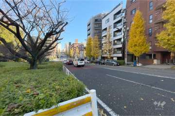 敷地北西側の前面道路（南西側から）