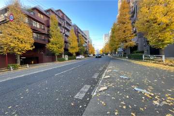 敷地北西側の前面道路（北東側から）