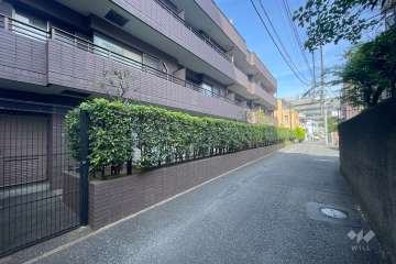 敷地南東側の前面道路（南西側から）