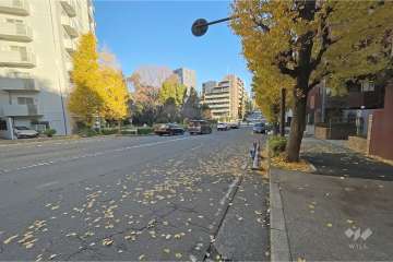 敷地北西側の前面道路（南西側から）