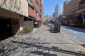 敷地南側の前面道路（東側から）