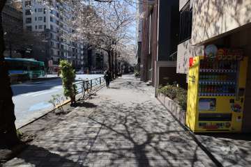 敷地南側の前面道路（西側から）