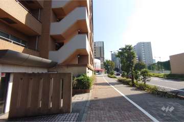 敷地南西側の前面道路（北西側から）