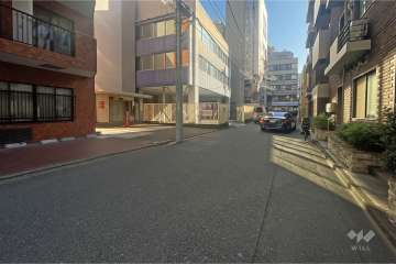 敷地南西側の前面道路（北西側から）