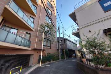 敷地西側の前面道路（北側から）