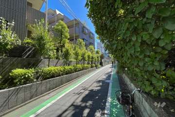 敷地北西側の前面道路（北東側から）