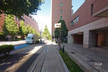 敷地北側の前面道路（西側から）