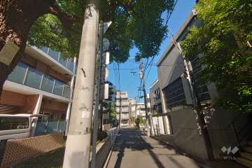 敷地南側の前面道路（西側から）