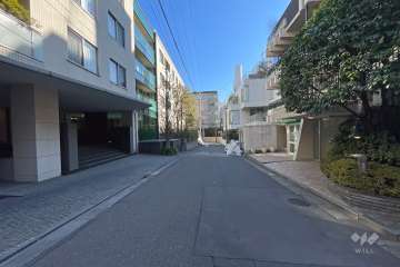 敷地北側の前面道路（西側から）