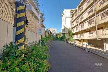 敷地東側の前面道路（南側から）