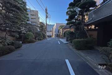 敷地東側の前面道路（北側から）