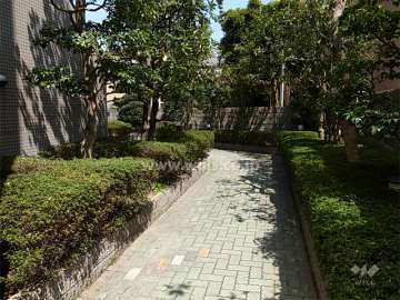 敷地内の各所に植栽スペースが設けれています。